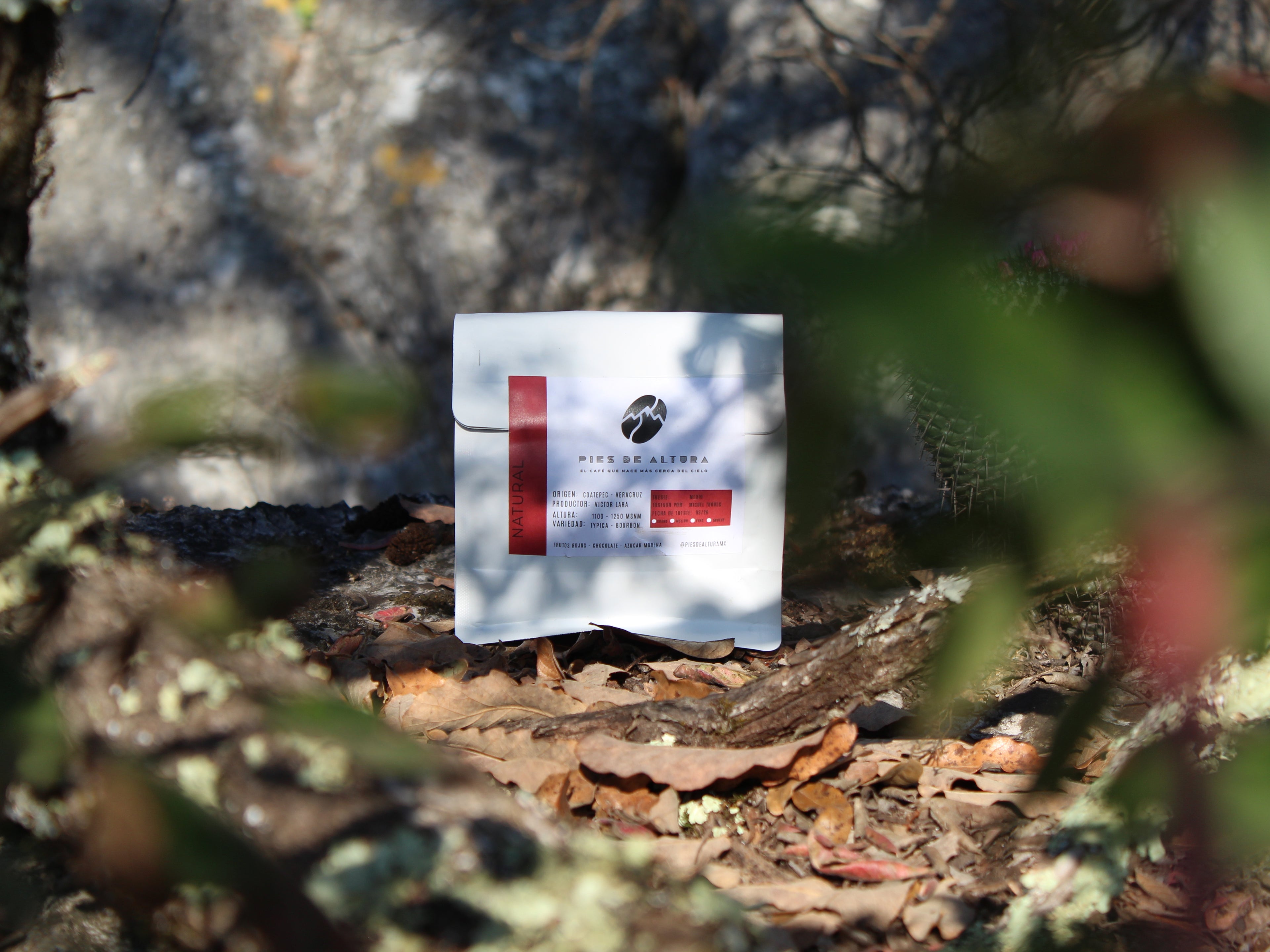 Natural - Chapulhuacán